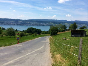 米兰体育赛事-“缆绳滑水：东桃花岛赛场呈现全新水上运动魅力”